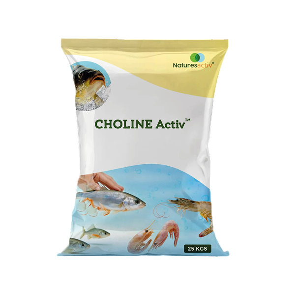 choline activ image